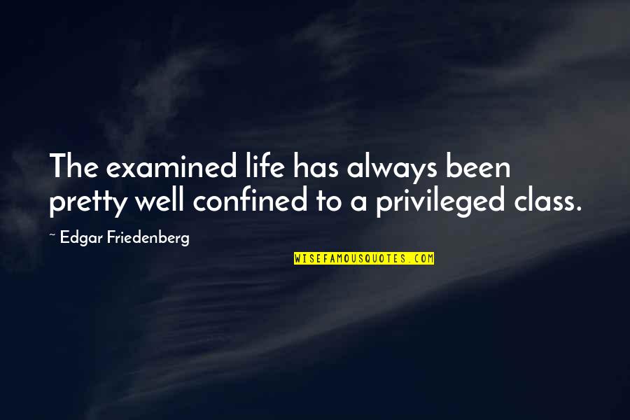 Puritate Argint Quotes By Edgar Friedenberg: The examined life has always been pretty well