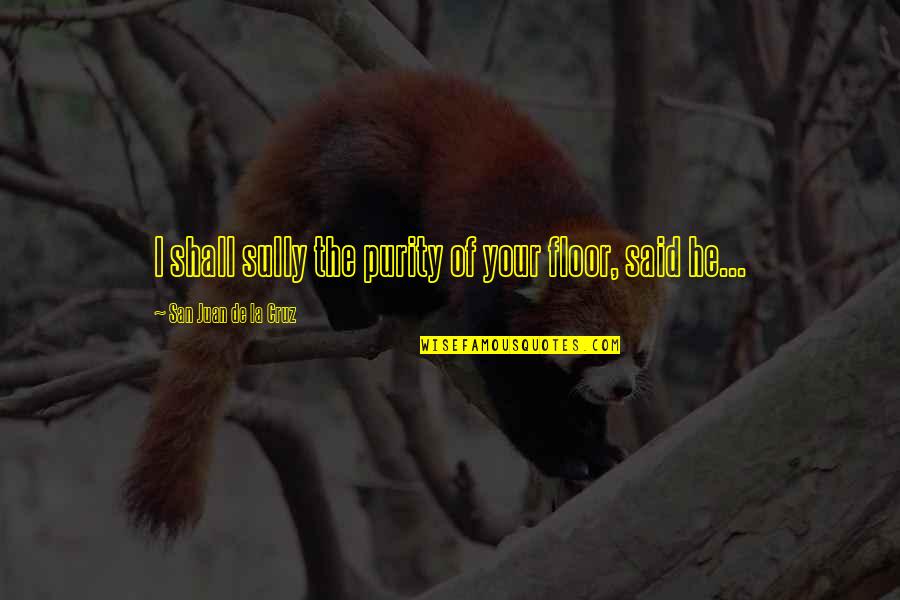 Purity Quotes By San Juan De La Cruz: I shall sully the purity of your floor, Purity Quotes By San Juan De La Cruz: I shall sully the purity of your floor,