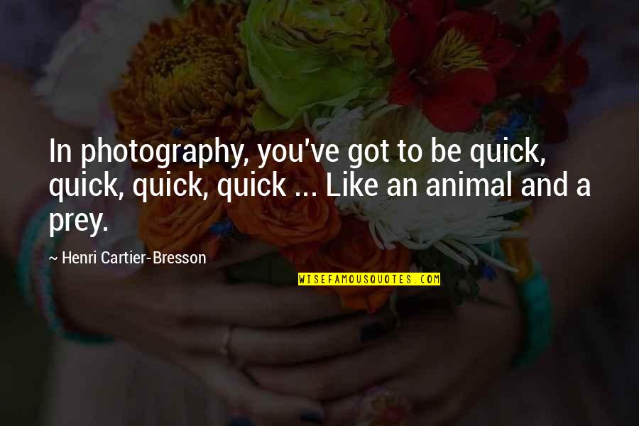 Purkiser Quotes By Henri Cartier-Bresson: In photography, you've got to be quick, quick,