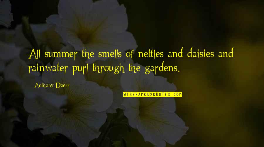Purl Quotes By Anthony Doerr: All summer the smells of nettles and daisies