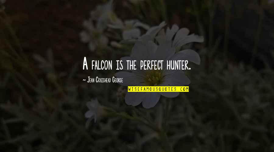 Purled Edge Quotes By Jean Craighead George: A falcon is the perfect hunter. Purled Edge Quotes By Jean Craighead George: A falcon is the perfect hunter.