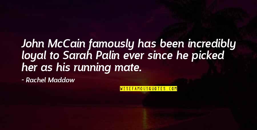Purple Led Quotes By Rachel Maddow: John McCain famously has been incredibly loyal to Purple Led Quotes By Rachel Maddow: John McCain famously has been incredibly loyal to