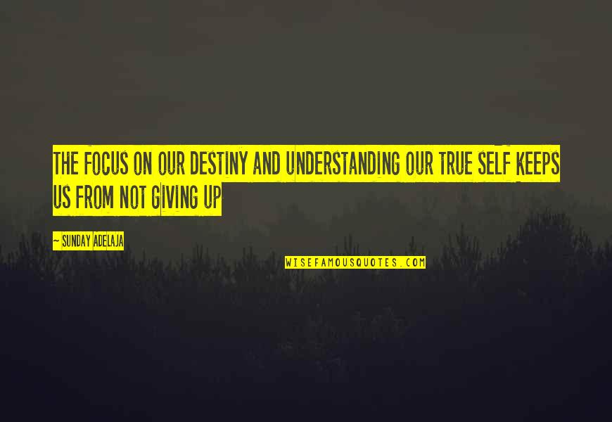 Purpose And Destiny Quotes By Sunday Adelaja: The focus on our destiny and understanding our