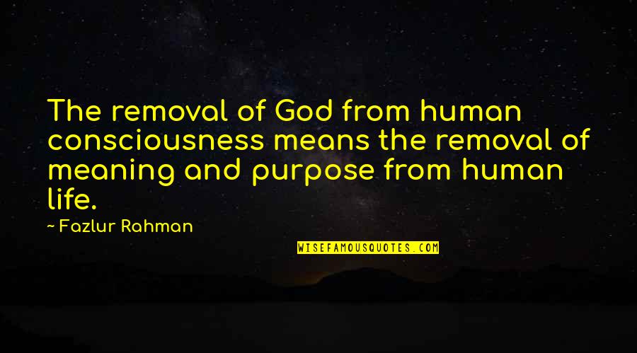 Purpose And Life Quotes By Fazlur Rahman: The removal of God from human consciousness means