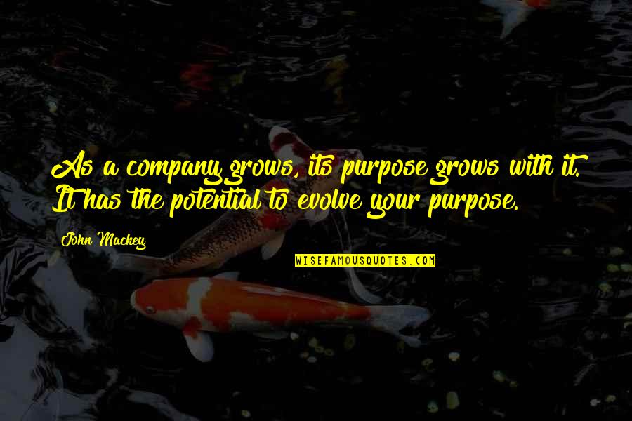 Purpose And Potential Quotes By John Mackey: As a company grows, its purpose grows with