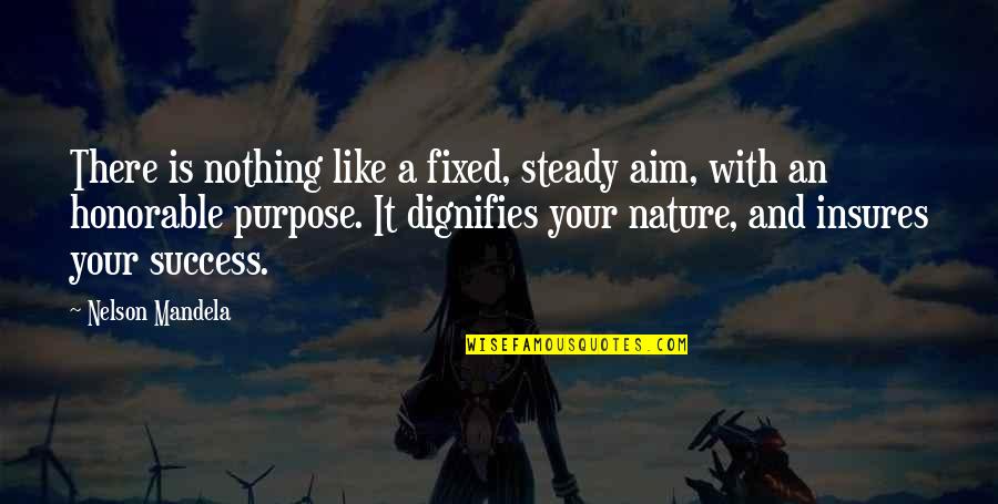 Purpose And Success Quotes By Nelson Mandela: There is nothing like a fixed, steady aim,