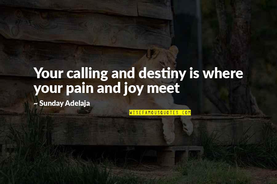 Purpose And Work Quotes By Sunday Adelaja: Your calling and destiny is where your pain