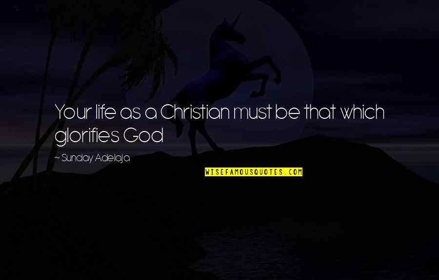 Purpose Christian Quotes By Sunday Adelaja: Your life as a Christian must be that