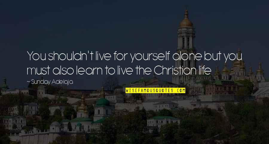 Purpose Christian Quotes By Sunday Adelaja: You shouldn't live for yourself alone but you