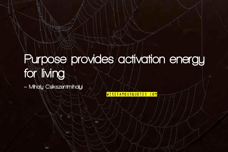 Purpose For Living Quotes By Mihaly Csikszentmihalyi: Purpose provides activation energy for living. Purpose For Living Quotes By Mihaly Csikszentmihalyi: Purpose provides activation energy for living.