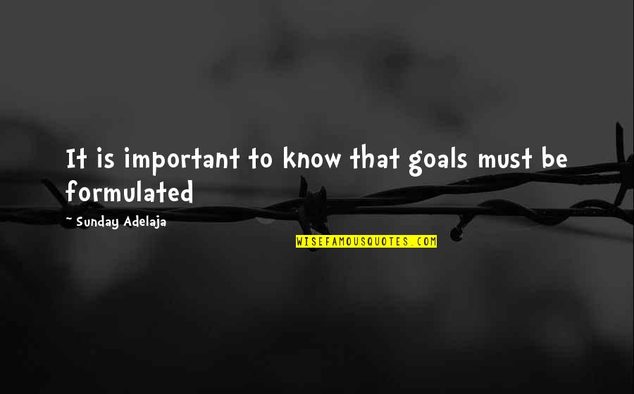 Purpose Goals Quotes By Sunday Adelaja: It is important to know that goals must