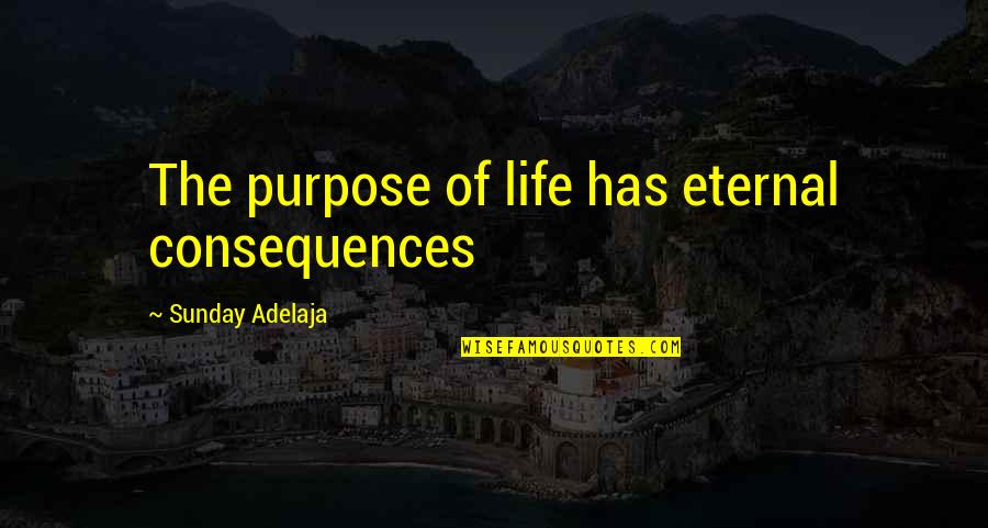 Purpose God Quotes By Sunday Adelaja: The purpose of life has eternal consequences