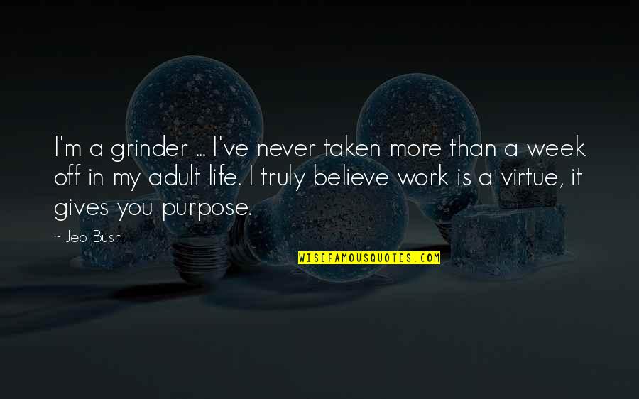 Purpose In Work Quotes By Jeb Bush: I'm a grinder ... I've never taken more