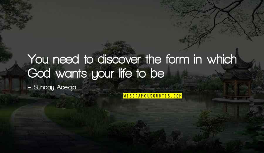 Purpose In Work Quotes By Sunday Adelaja: You need to discover the form in which