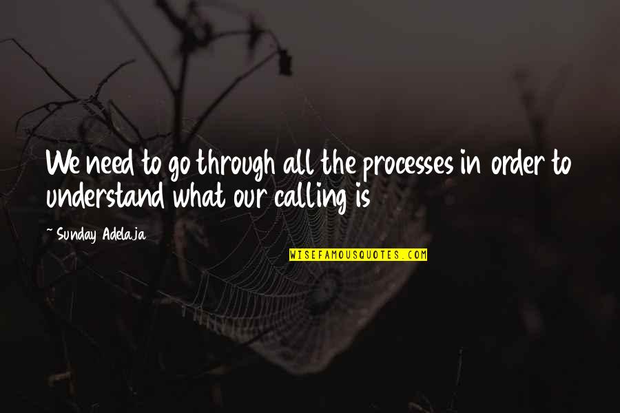 Purpose Is Calling Quotes By Sunday Adelaja: We need to go through all the processes