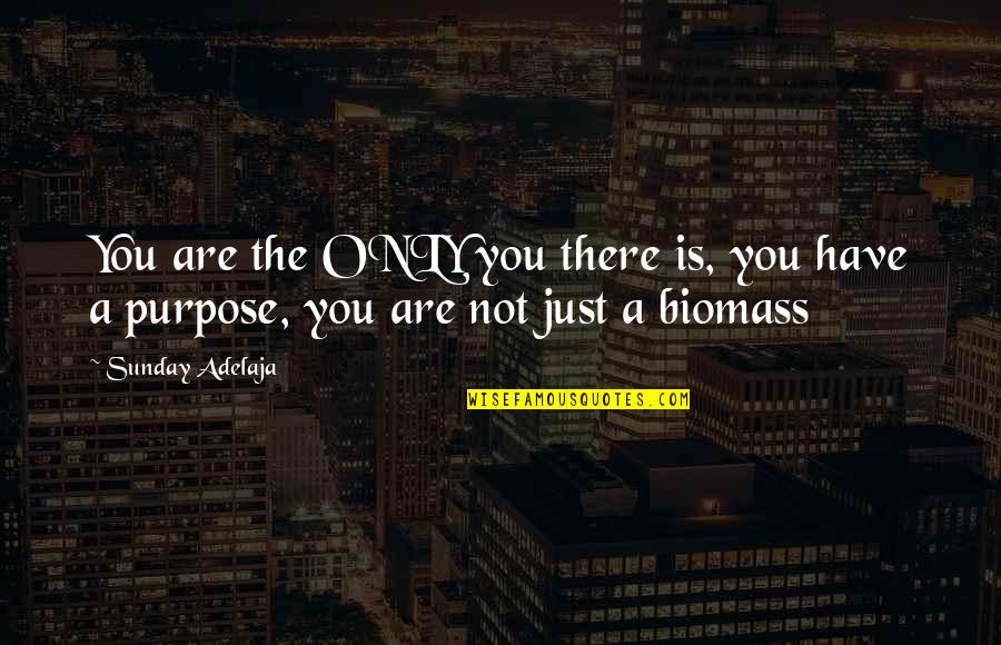 Purpose Is Calling Quotes By Sunday Adelaja: You are the ONLY you there is, you