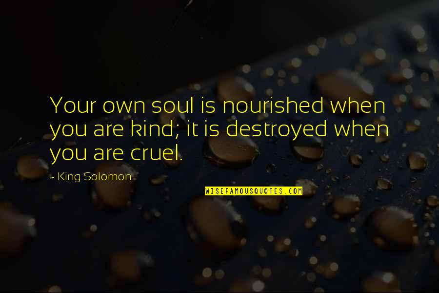 Purpose Of Literature Quotes By King Solomon: Your own soul is nourished when you are