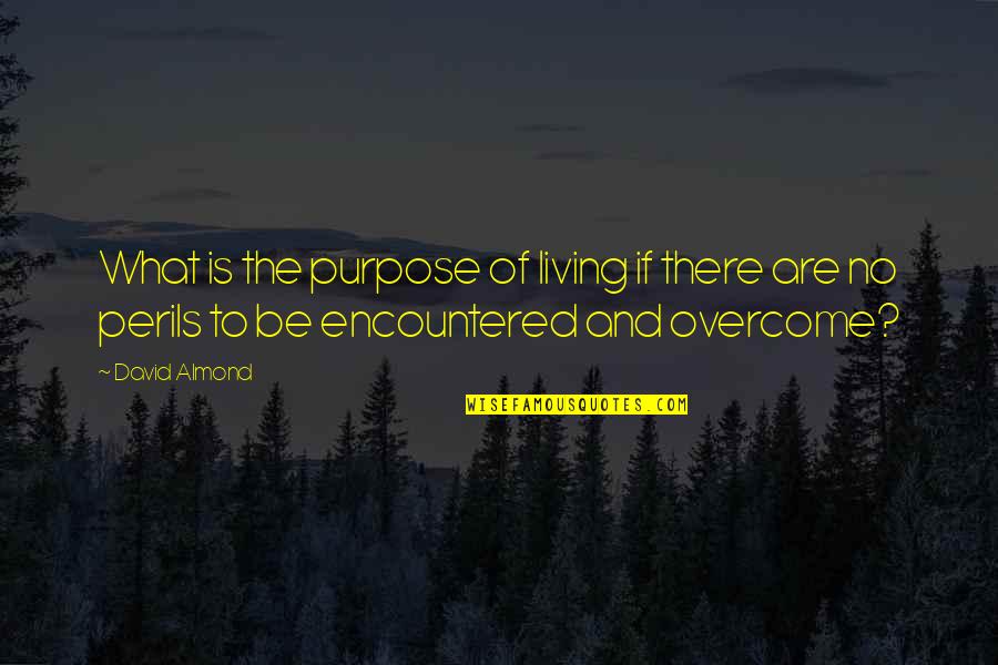Purpose Of Living Quotes By David Almond: What is the purpose of living if there