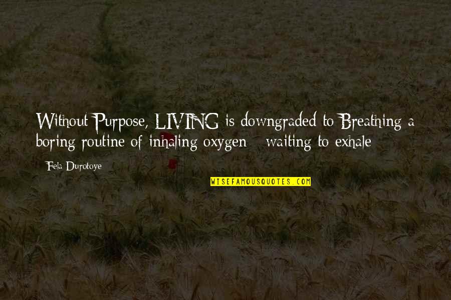 Purpose Of Living Quotes By Fela Durotoye: Without Purpose, LIVING is downgraded to Breathing a