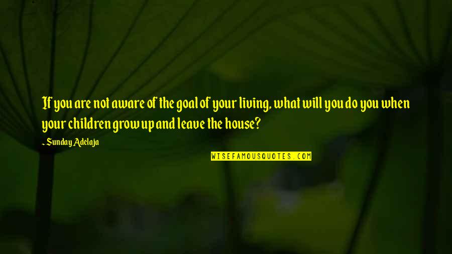Purpose Of Living Quotes By Sunday Adelaja: If you are not aware of the goal