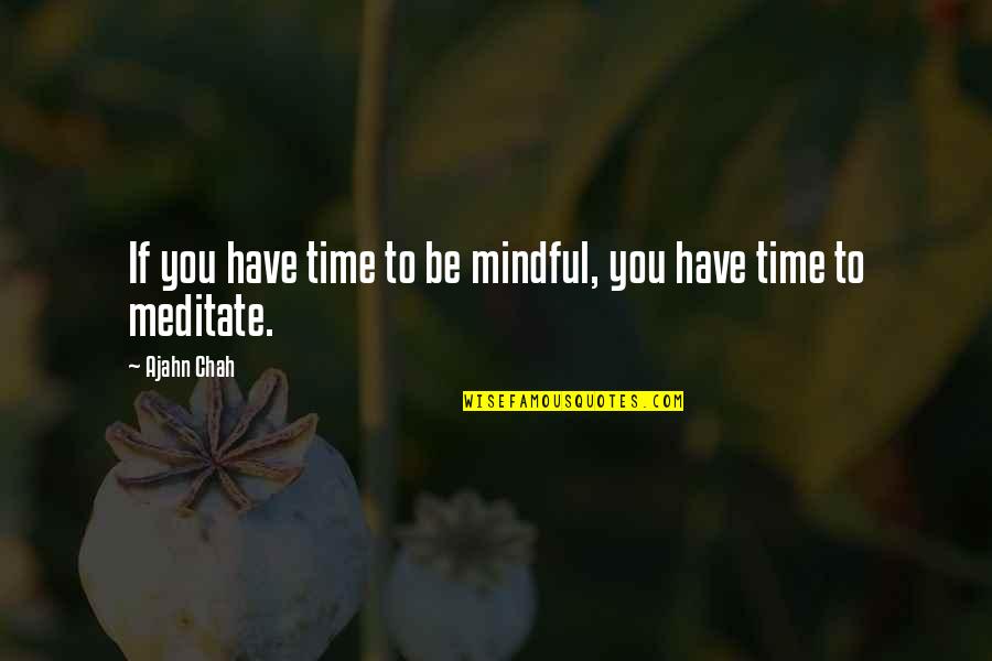 Purpose Of Theatre Quotes By Ajahn Chah: If you have time to be mindful, you