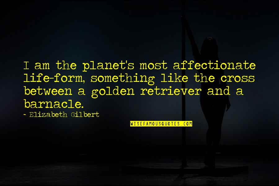 Purpose That Which You Love Quotes By Elizabeth Gilbert: I am the planet's most affectionate life-form, something