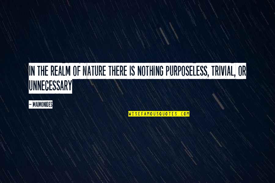 Purposeless Quotes By Maimonides: In the realm of Nature there is nothing