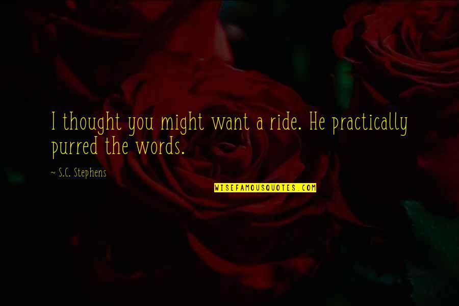 Purred Quotes By S.C. Stephens: I thought you might want a ride. He