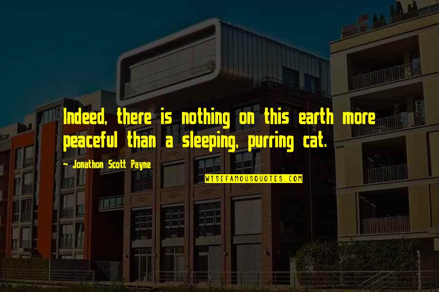 Purring Quotes By Jonathon Scott Payne: Indeed, there is nothing on this earth more