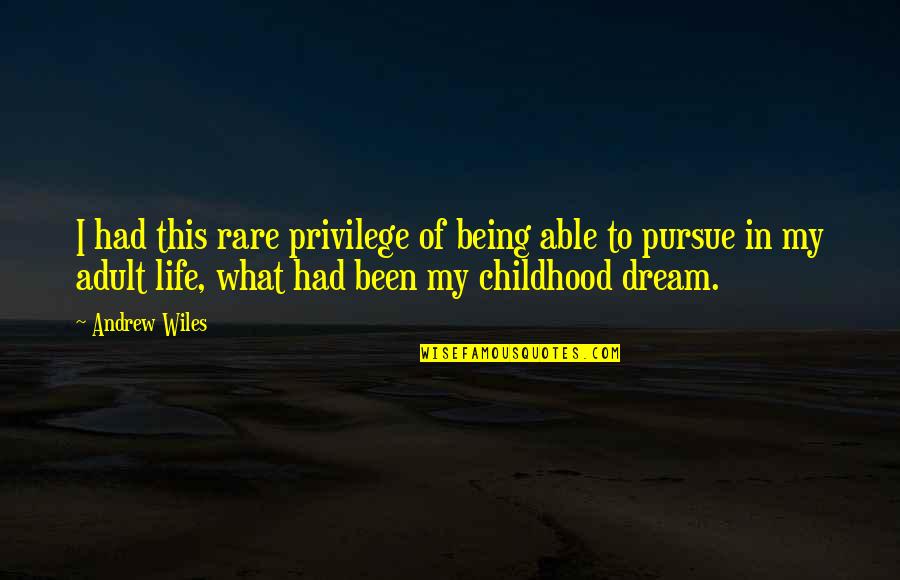 Pursue Life Quotes By Andrew Wiles: I had this rare privilege of being able