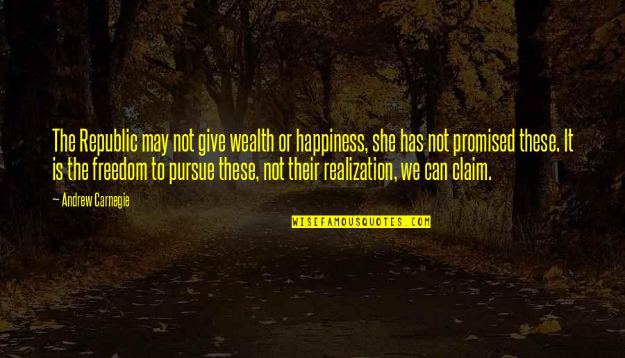 Pursue Of Happiness Quotes By Andrew Carnegie: The Republic may not give wealth or happiness,