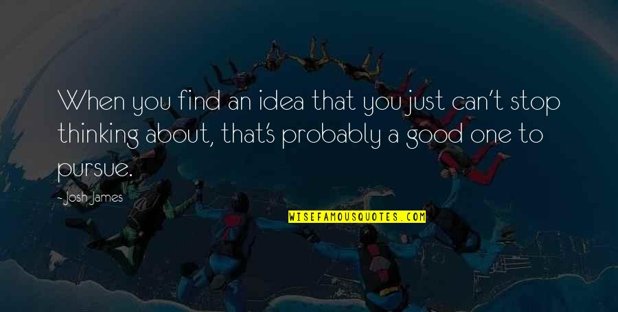 Pursue Quotes By Josh James: When you find an idea that you just Pursue Quotes By Josh James: When you find an idea that you just