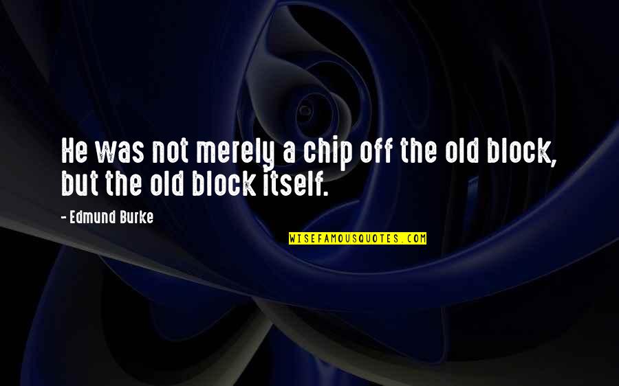 Pursuing School Quotes By Edmund Burke: He was not merely a chip off the