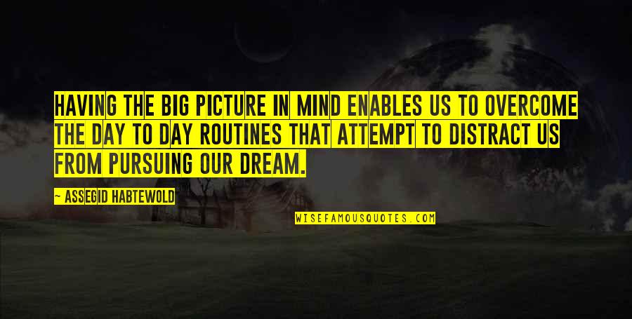 Pursuing Your Dream Quotes By Assegid Habtewold: Having the big picture in mind enables us Pursuing Your Dream Quotes By Assegid Habtewold: Having the big picture in mind enables us