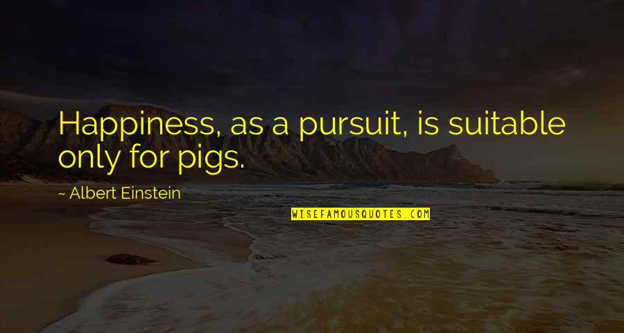 Pursuit For Quotes By Albert Einstein: Happiness, as a pursuit, is suitable only for