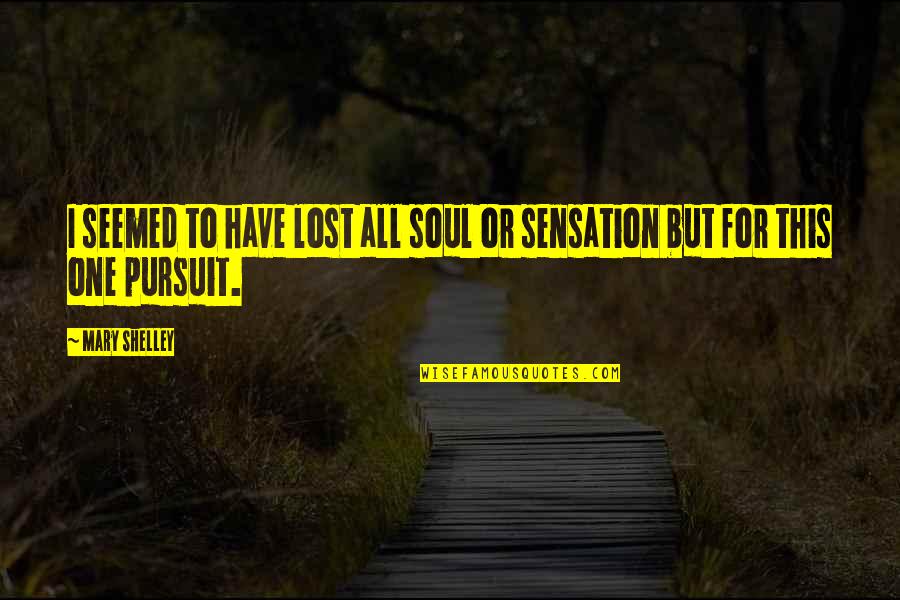 Pursuit For Quotes By Mary Shelley: I seemed to have lost all soul or