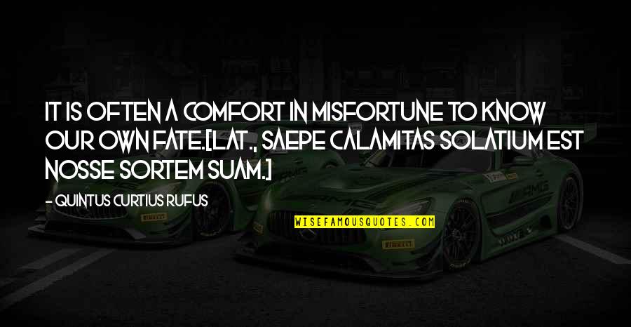 Purtier Quotes By Quintus Curtius Rufus: It is often a comfort in misfortune to