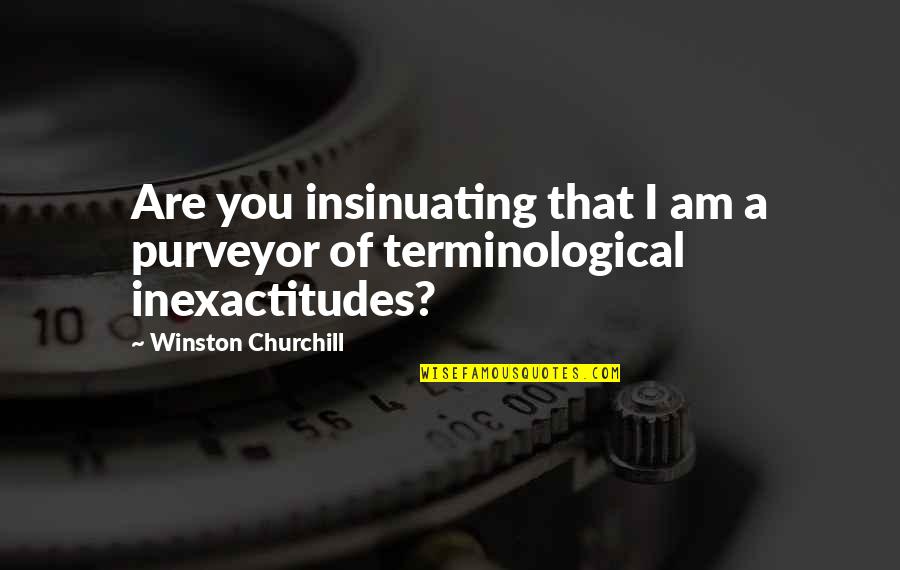 Purveyor Quotes By Winston Churchill: Are you insinuating that I am a purveyor