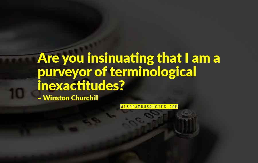 Purveyor's Quotes By Winston Churchill: Are you insinuating that I am a purveyor