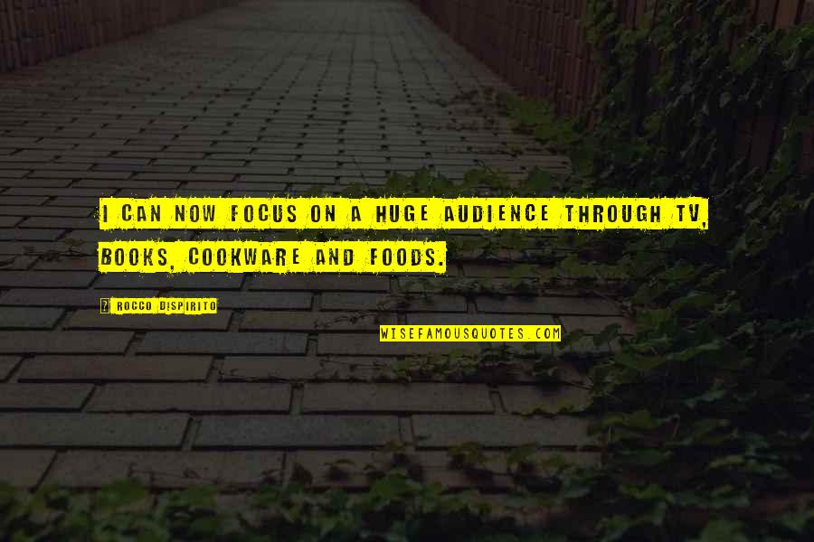 Push People Away Quotes By Rocco DiSpirito: I can now focus on a huge audience