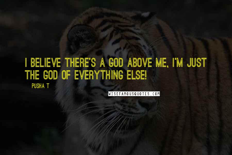 Pusha T quotes: I believe there's a god above me, I'm just the god of everything else!