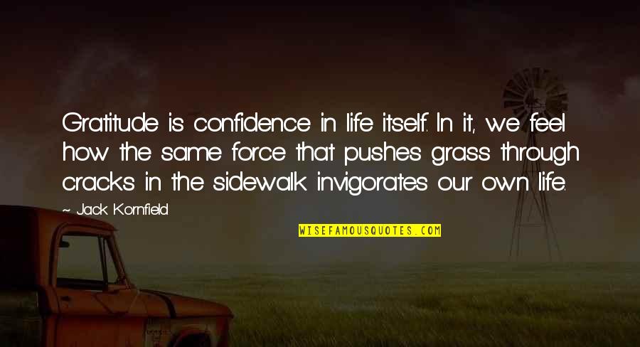 Pushes Quotes By Jack Kornfield: Gratitude is confidence in life itself. In it,