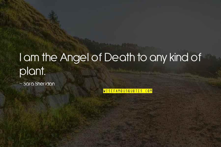 Pushup Quotes By Sara Sheridan: I am the Angel of Death to any