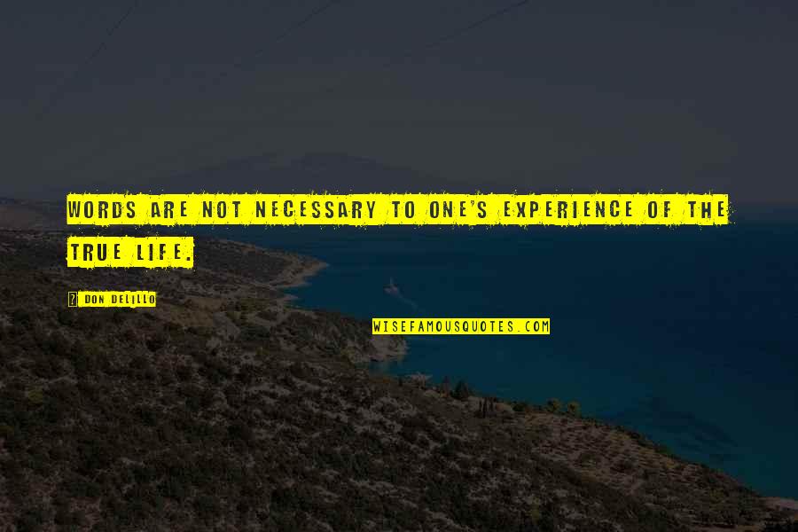Pustite Decu Quotes By Don DeLillo: Words are not necessary to one's experience of