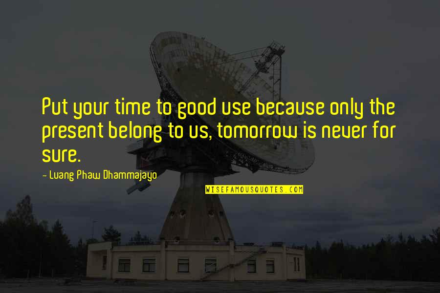 Put Off Till Tomorrow Quotes By Luang Phaw Dhammajayo: Put your time to good use because only Put Off Till Tomorrow Quotes By Luang Phaw Dhammajayo: Put your time to good use because only
