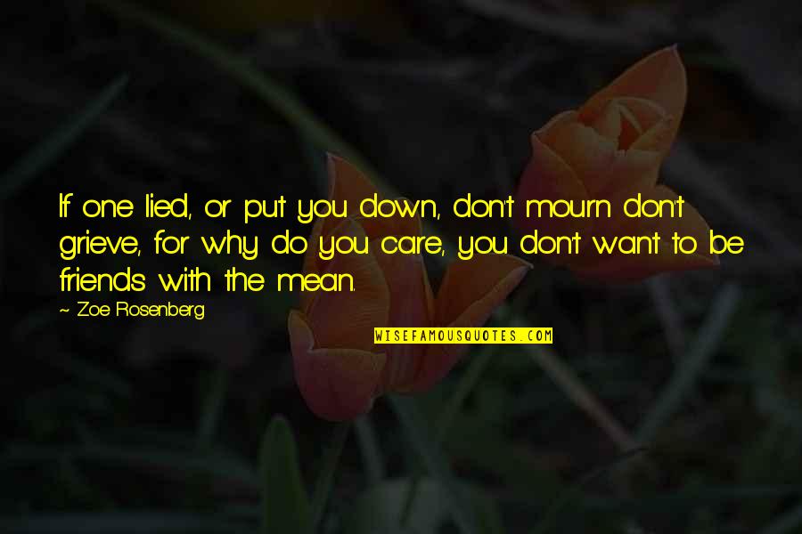 Put You Down Quotes By Zoe Rosenberg: If one lied, or put you down, don't