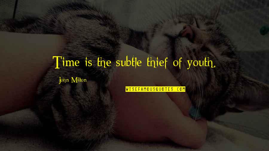 Puto In Spanish Quotes By John Milton: Time is the subtle thief of youth.