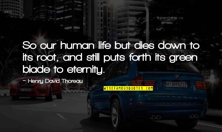 Puts You Down Quotes By Henry David Thoreau: So our human life but dies down to