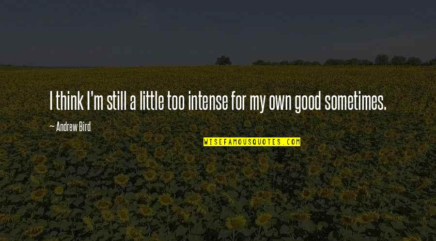 Putsch Quotes By Andrew Bird: I think I'm still a little too intense