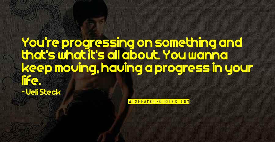 Putting Effort Into Someone Quotes By Ueli Steck: You're progressing on something and that's what it's